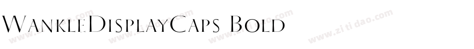 WankleDisplayCaps Bold字体转换
